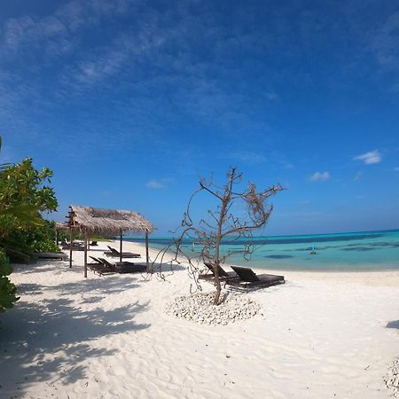 Shamar Guesthouse & Dive Maamigili Εξωτερικό φωτογραφία