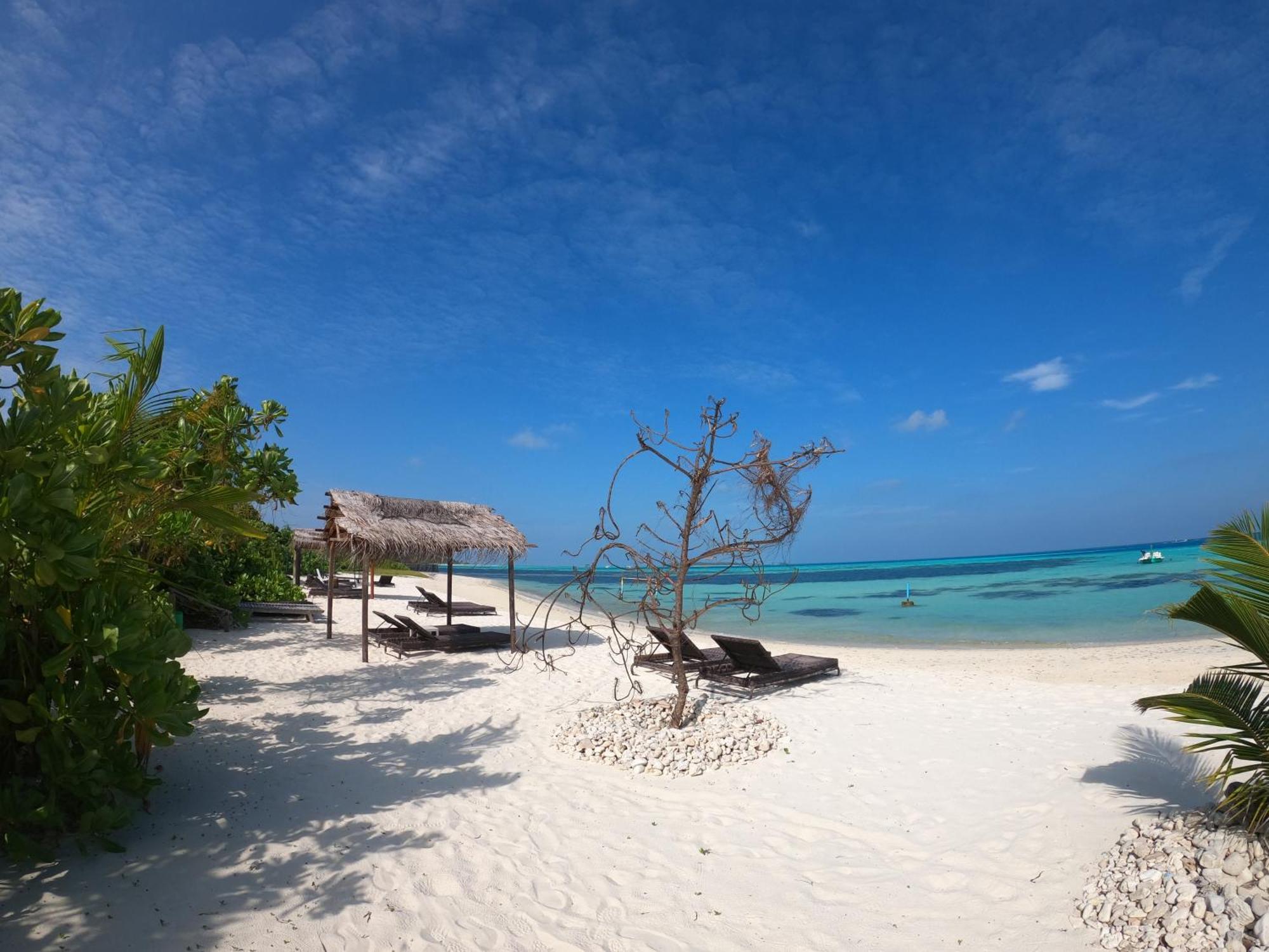 Shamar Guesthouse & Dive Maamigili Εξωτερικό φωτογραφία