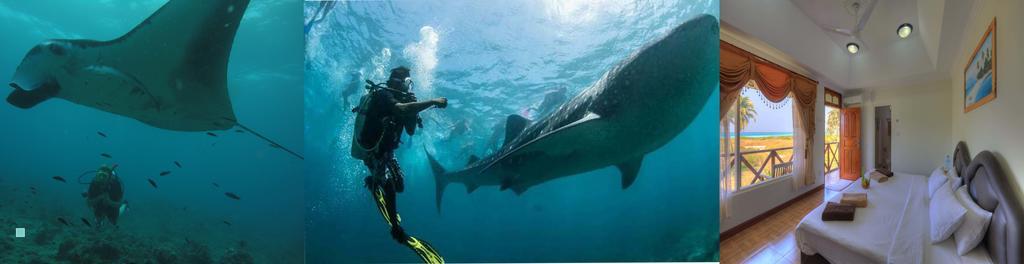 Shamar Guesthouse & Dive Maamigili Εξωτερικό φωτογραφία