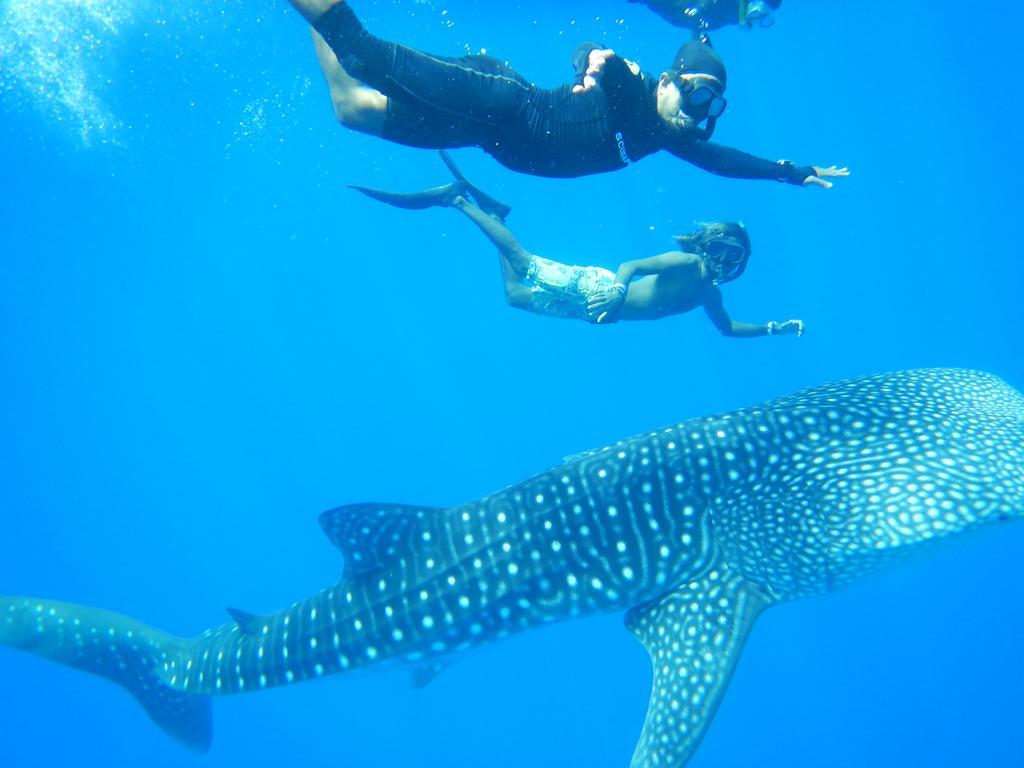 Shamar Guesthouse & Dive Maamigili Εξωτερικό φωτογραφία