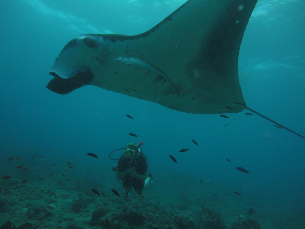 Shamar Guesthouse & Dive Maamigili Εξωτερικό φωτογραφία